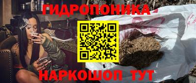 твердый Гусев