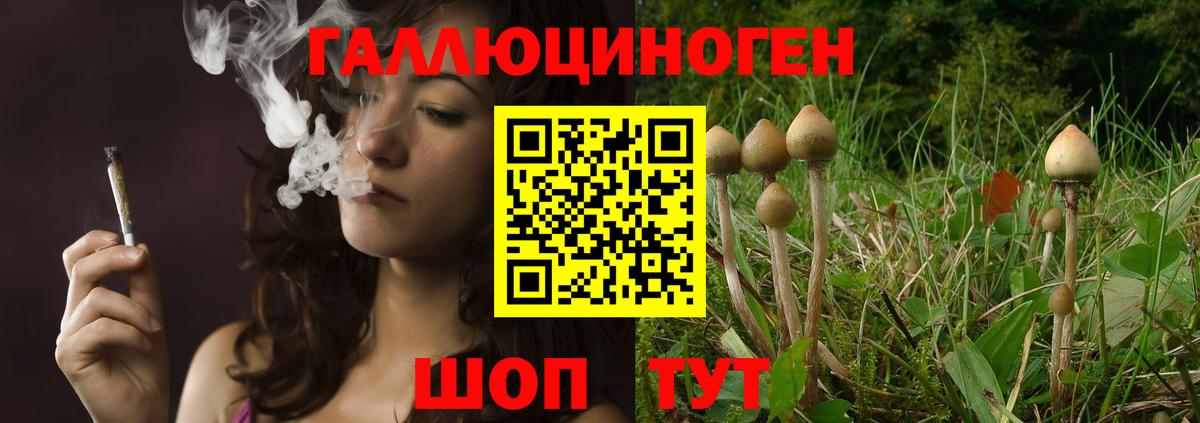 Псилоцибиновые грибы Psilocybe  Галлюциногенные грибы Psilocybe  Мирный  Вход с VPN 
